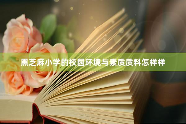黑芝麻小学的校园环境与素质质料怎样样