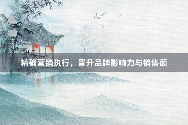 精确营销执行，晋升品牌影响力与销售额
