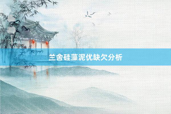 兰舍硅藻泥优缺欠分析