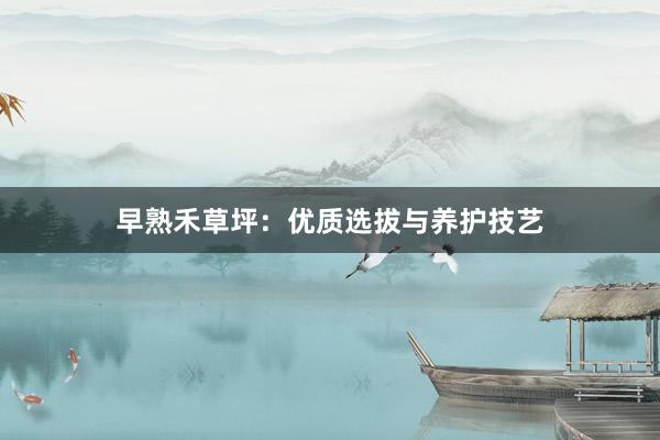 早熟禾草坪：优质选拔与养护技艺