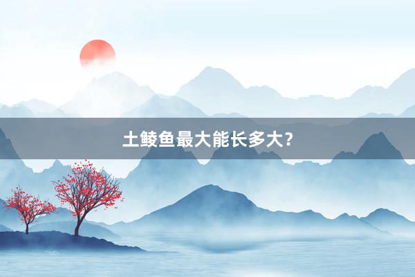 土鲮鱼最大能长多大？