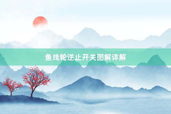 鱼线轮逆止开关图解详解