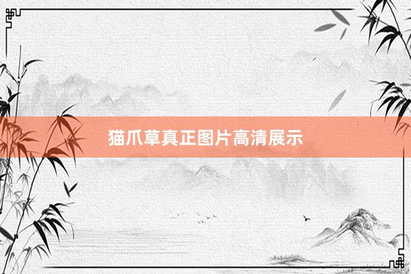 猫爪草真正图片高清展示